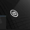 Linux Mint 22.1 xia cinnamon